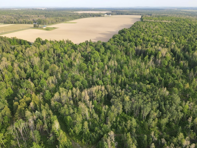 247 Haney Rd, Connor Twp, ME 04736 - view of property location featuring a forest