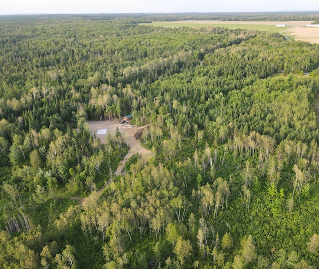247 Haney Rd, Connor Twp, ME 04736 - view of property location featuring a forest