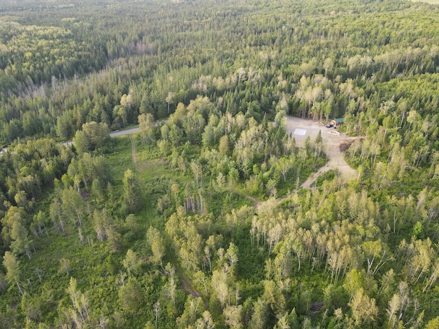 247 Haney Rd, Connor Twp, ME 04736 - aerial view of property and surrounding area featuring a heavily wooded area