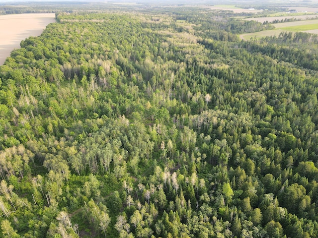 247 Haney Rd, Connor Twp, ME 04736 - aerial view of a forest