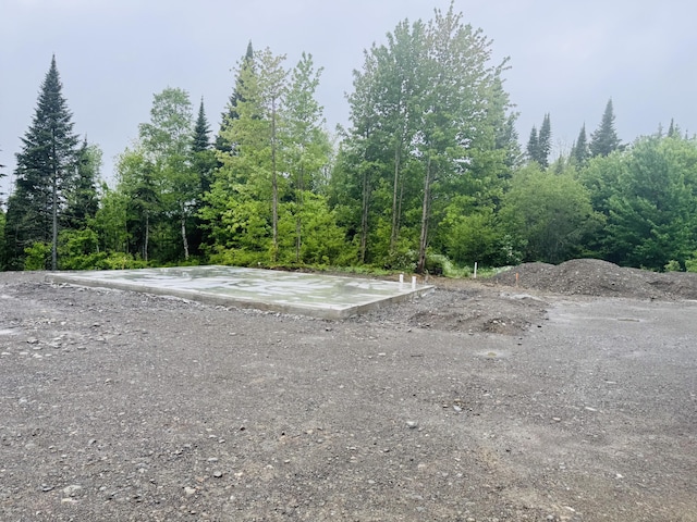 247 Haney Rd, Connor Twp, ME 04736 - view of yard