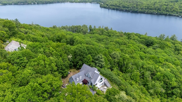 33 Lakeview Ln, Harrison, ME 04040 - aerial view of property and surrounding area with a forest and a large body of water