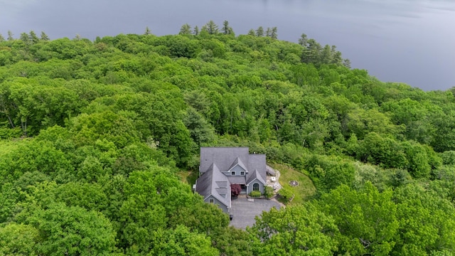 33 Lakeview Ln, Harrison, ME 04040 - aerial view of property and surrounding area featuring a heavily wooded area