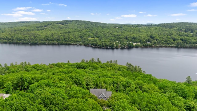 33 Lakeview Ln, Harrison, ME 04040 - drone / aerial view of a heavily wooded area and a large body of water
