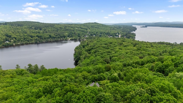 33 Lakeview Ln, Harrison, ME 04040 - drone / aerial view of a forest and a nearby body of water