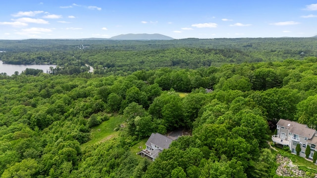 33 Lakeview Ln, Harrison, ME 04040 - drone / aerial view of a forest and a nearby body of water