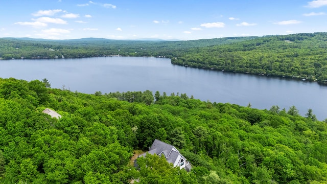 33 Lakeview Ln, Harrison, ME 04040 - aerial view of a heavily wooded area and a nearby body of water