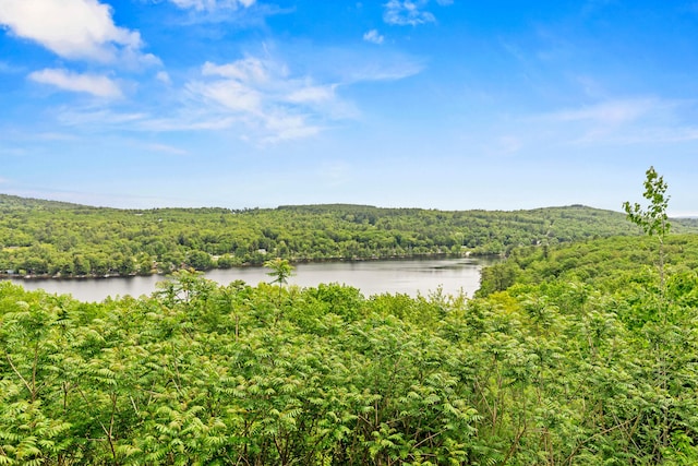 33 Lakeview Ln, Harrison, ME 04040 - water view featuring a forest