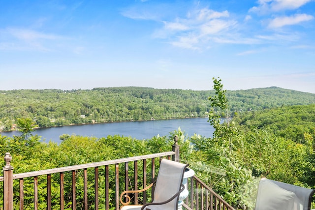 33 Lakeview Ln, Harrison, ME 04040 - water view with a heavily wooded area