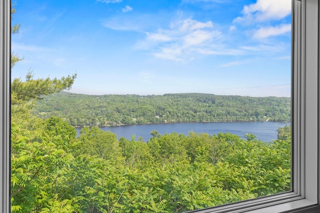 33 Lakeview Ln, Harrison, ME 04040 - water view featuring a heavily wooded area