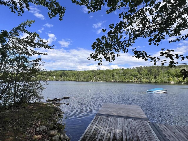 33 Lakeview Ln, Harrison, ME 04040 - dock area with a water view and a forest view