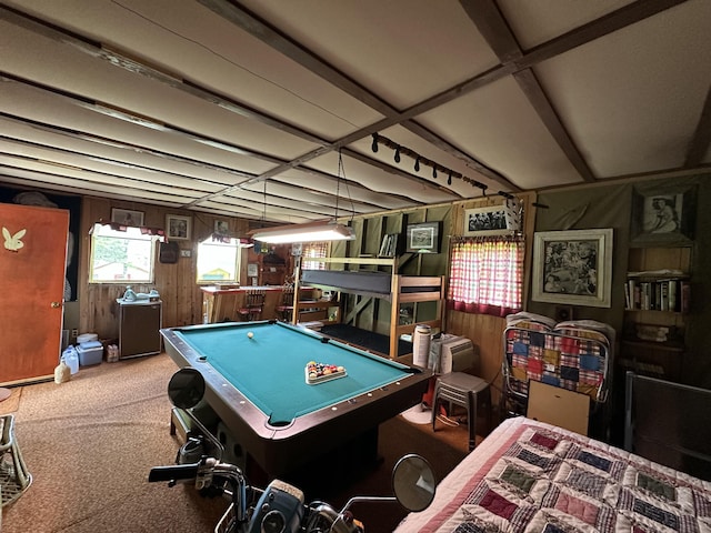 50 Forget Me Not Ln, Orient, ME 04471 - recreation room featuring billiards, carpet floors, and wood walls