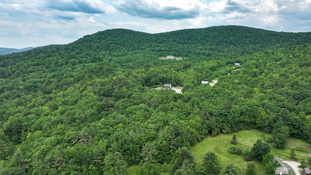 370 Center Conway Rd, Brownfield, ME 04010 - view of mountain background with a forest