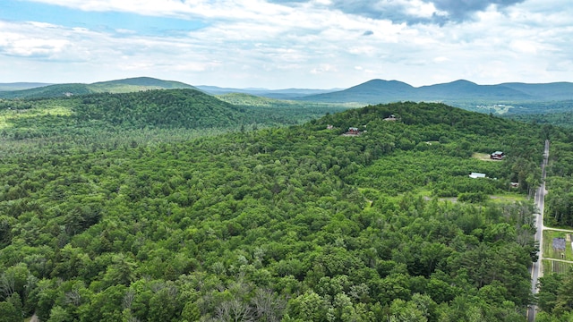 370 Center Conway Rd, Brownfield, ME 04010 - view of mountain background featuring a forest