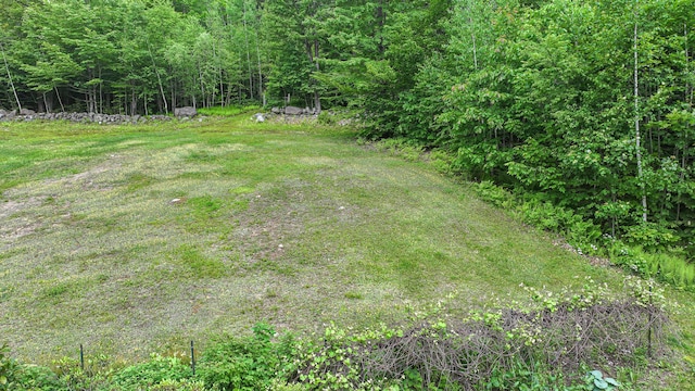 370 Center Conway Rd, Brownfield, ME 04010 - view of yard