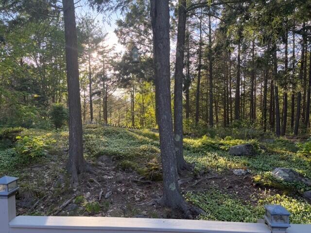 9 Kennebec Cir, Bath, ME 04530 - view of wooded area