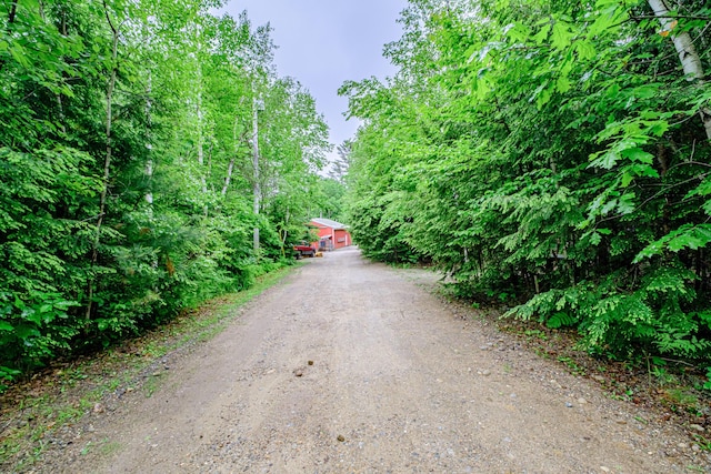 41 Dundee Rd, Albany Twp, ME 04217 - view of dirt / gravel road featuring a wooded view
