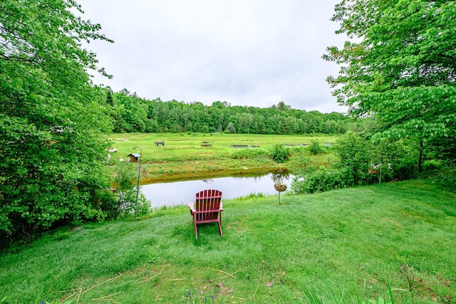 41 Dundee Rd, Albany Twp, ME 04217 - view of yard featuring a water view and a forest view