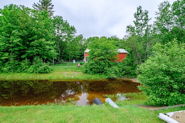 41 Dundee Rd, Albany Twp, ME 04217 - view of yard