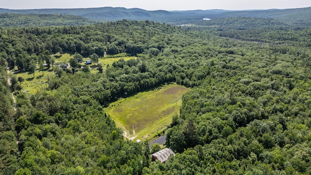 41 Dundee Rd, Albany Twp, ME 04217 - bird's eye view of a forest and a mountain backdrop