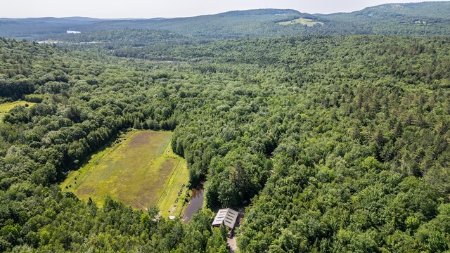 41 Dundee Rd, Albany Twp, ME 04217 - aerial view of a heavily wooded area and mountains