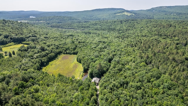 41 Dundee Rd, Albany Twp, ME 04217 - drone / aerial view of a forest and mountains