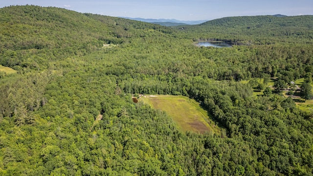 41 Dundee Rd, Albany Twp, ME 04217 - aerial view of property's location featuring a heavily wooded area and a water and mountain view