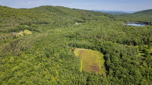 41 Dundee Rd, Albany Twp, ME 04217 - bird's eye view of a heavily wooded area and a water and mountain view