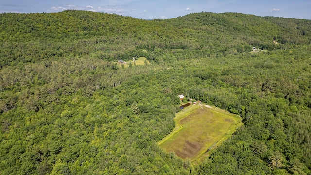41 Dundee Rd, Albany Twp, ME 04217 - aerial view of a forest