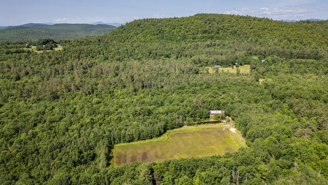 41 Dundee Rd, Albany Twp, ME 04217 - aerial view of a forest and mountains