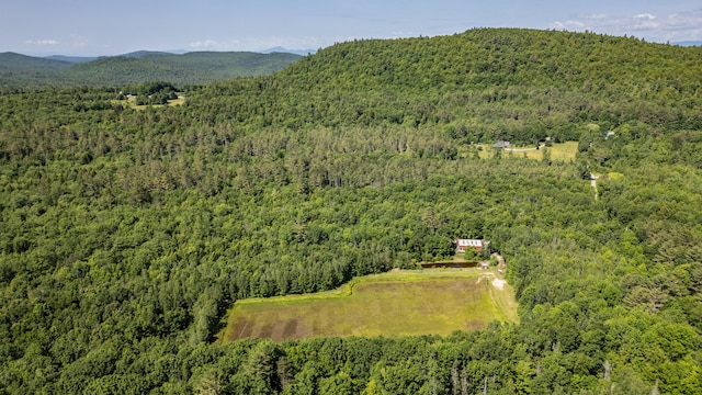41 Dundee Rd, Albany Twp, ME 04217 - drone / aerial view of a heavily wooded area