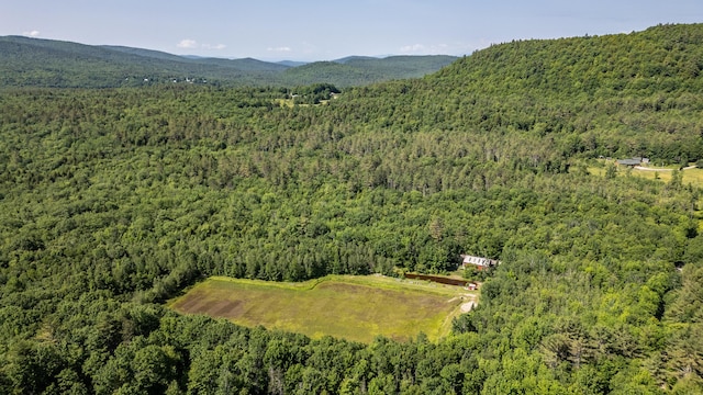 41 Dundee Rd, Albany Twp, ME 04217 - aerial overview of property's location with a forest and a mountainous background
