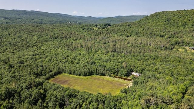 41 Dundee Rd, Albany Twp, ME 04217 - aerial view of property's location with a heavily wooded area and a mountain backdrop