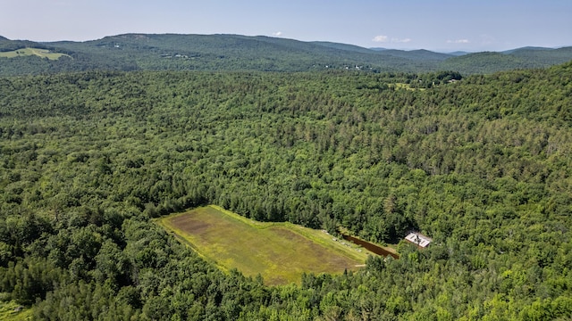 41 Dundee Rd, Albany Twp, ME 04217 - view of property location with a forest