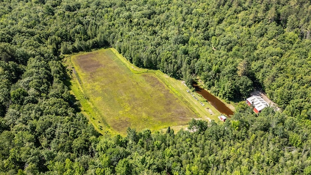 41 Dundee Rd, Albany Twp, ME 04217 - bird's eye view of a heavily wooded area
