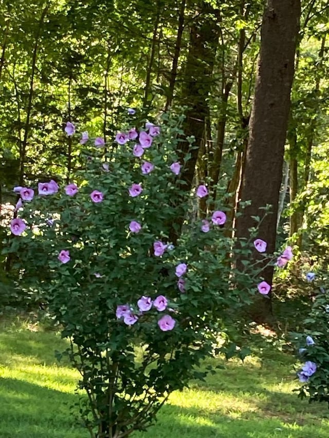 824 Duck Pond Rd, Westbrook, ME 04092
