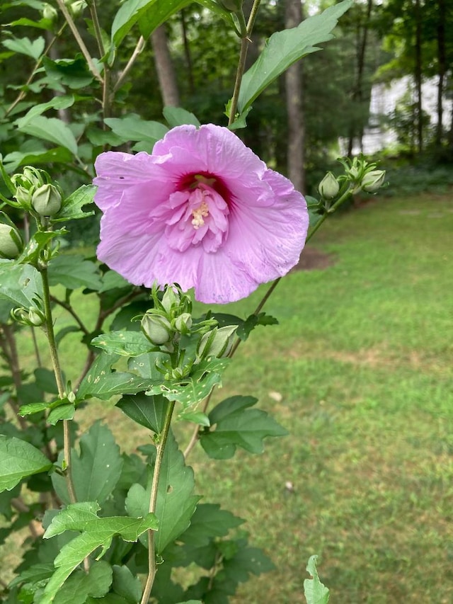 824 Duck Pond Rd, Westbrook, ME 04092