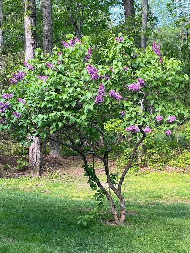 824 Duck Pond Rd, Westbrook, ME 04092