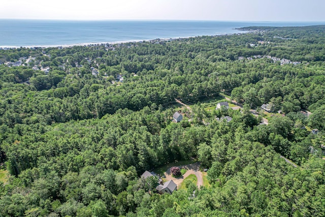 37 Paul St, York, ME 03909 - aerial overview of property's location with a forest and a large body of water