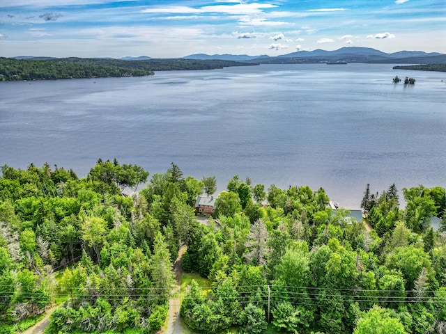 358 Rumford Rd, Rangeley, ME 04970 - photo 7