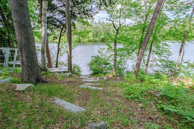 34 Alpine Shores Rd, Woodstock, ME 04219 - water view