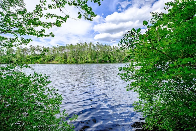 34 Alpine Shores Rd, Woodstock, ME 04219 - water view with a forest