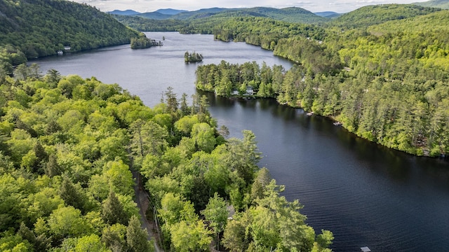 34 Alpine Shores Rd, Woodstock, ME 04219 - aerial view of a heavily wooded area and a water and mountain view