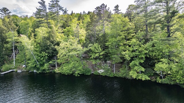 34 Alpine Shores Rd, Woodstock, ME 04219 - water view