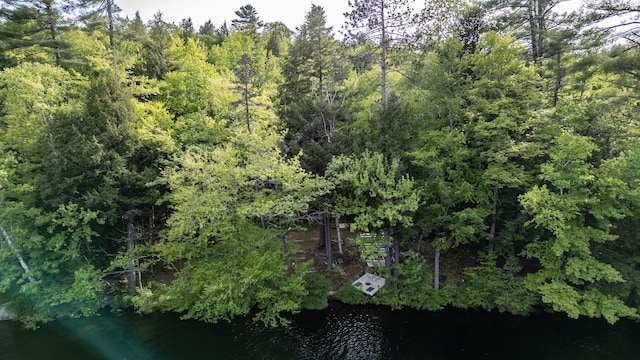 34 Alpine Shores Rd, Woodstock, ME 04219 - bird's eye view of a large body of water