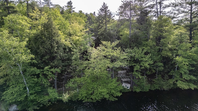 34 Alpine Shores Rd, Woodstock, ME 04219 - aerial view of a forest and a nearby body of water