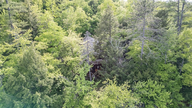 34 Alpine Shores Rd, Woodstock, ME 04219 - drone / aerial view of a forest