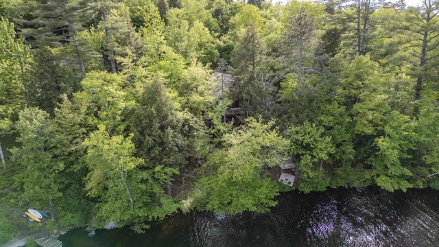 34 Alpine Shores Rd, Woodstock, ME 04219 - aerial view of property and surrounding area with a nearby body of water and a forest