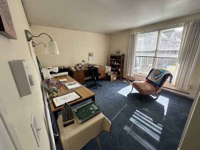 37 Cortland Cir Unit 37, Bangor, ME 04401 - office space featuring carpet flooring and baseboard heating