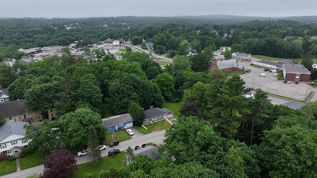 11 Dana Ave, Auburn, ME 04210 - aerial view of a heavily wooded area